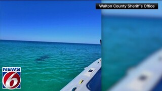 Woman loses arm, 2 teens injured in separate shark attacks on popular Florida beach