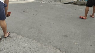melsim vs sbr