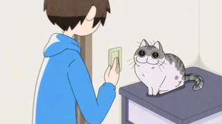 Yoru Wa Neko To Issho Ep22