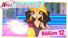 Winx Club - Sezon 6 Bölüm 12 - Gölgelerdeki Işıltı