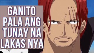 Ability at Power ni Shanks Ayon kay Oda-sensei