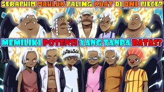 MEMILIKI POTENSI YANG TANPA BATAS? Seraphim Mahluk Paling Kuat Di One Piece? Mungkinkah?