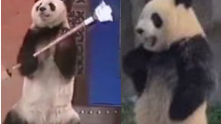 [Animals]What do pandas do in the past & at present |<Huo Yuanjia>