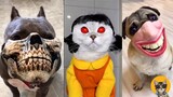 Squid Game Netflix Dog And Cat On Halloween| Pets House