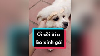 Ai dán cho Bo quả lông mày xinh quá. Đc mấy điểm xinh gái cả nhà ơi? cunyeucuadua chó chócon chókhôn chócute