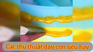 thủ thuật dạy con siêu hay