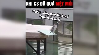 Cuộc sống quá mệt mỏi