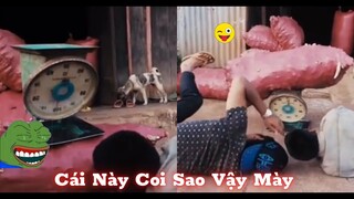 Những đứa con thất lạc của thần biển #61 / Cái Này Coi Sao Vậy Mày 😂😂😂
