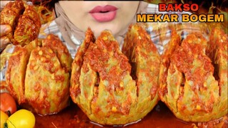 LANGSUNG MULES 😫😫😫|| ASMR BAKSO MEKAR BOGEM EXTRA PEDAS|| PEDESNYA LEVEL NERAKA || ASMR INDONESIA