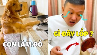 Gia Đình Lốp | Thanh Niên LỐP Trổ Tài Làm Bánh Tặng PAPA Và Cái Kết 🤣 Gâu Đần Official