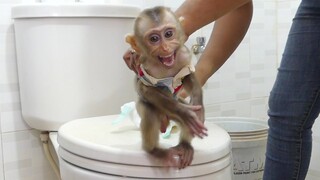 dirty diapers | Baby Monkey Maku crying loudly and refused to change diapers