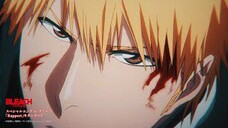 Rapport- Bleach Thousand Year Blood War-AMV/MAD