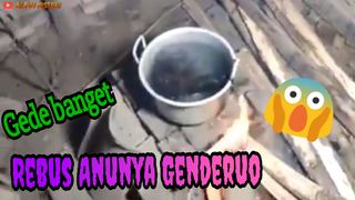 Rebus Anunya Genderuo