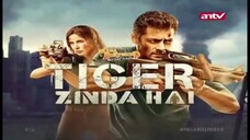 TIGER ZINDA HAI (2017) DUB INDONESIA