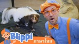 Blippi ไทย | ให้อาหารและหยอกล้อสัตว์ในสวนสัตว์ไปกับบลิพปี้ | วิดีโอการเรียนรู้สำหรับเด็ก