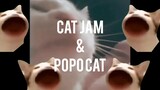 [HD Spesial] Disco Cat & POPO Cat