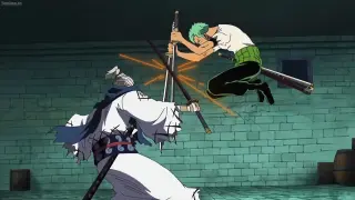 Zoro defeated the swordsman Ryuma to inherit the legendary sword Shusui || ONE PIECE
