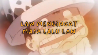 Momen Masa Lalu Trafalgar Law