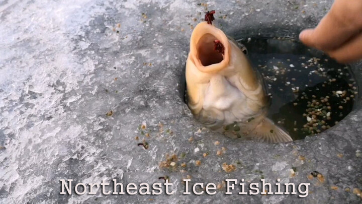 Câu cá dưới băng kỳ diệu ở Đông Bắc Trung Quốc