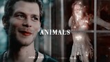 Tvd , To & Legacies | Animals