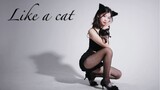 Like a cat - AOA Sexy Dance Cover~Chú mèo mun nhỏ trong đêm