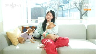 [1080p][raw] Lone Trainer / Trainer on the Road E21