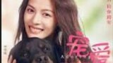 ADORING CHINESE FULL MOVIE ROMANCE COMEDY 2019
