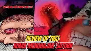 REVIEW OP 1103 KUMA VS SATURN !!! GOROSEI SATURN KETAKUTAN !!!