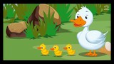The ugly duckling (HD)
