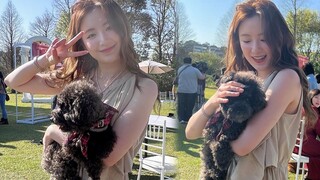 (G)I-DLE 230310 舒华上《哈啰！毛小孩》停机时跟毛小孩玩+照片