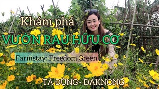 Khám phá VƯỜN RAU HỮU CƠ tại Farmstay - Trải nghiệm cuộc sống xanh|Du lịch Daknong.