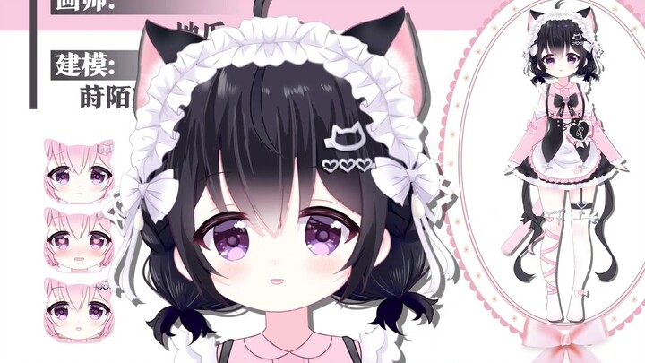 【live2d模型展示】超可爱的小猫咪快来领取喵~