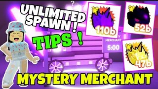 EXACT TIME TO FIND THE MYSTERY MERCHANT IN PET SIMULATOR | I SPENT 3 BILLION GEMS 💎 (Roblox Tagalog)