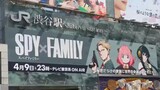 Current status of "SPY×FAMILY" in Japan
