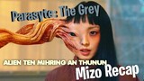 Parasyte Ten Mihring An Thunun , Buaina Tamtak A Chhuak || Mizo Movie Recap