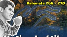 The Pinnacle of Life / Kabanata 266 - 270