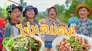 ไข่มดแดง เขาแหย่กันแบบนี้ เจ็บจี๊ดไปทั้งตัว - วัตถุดิบ EP56