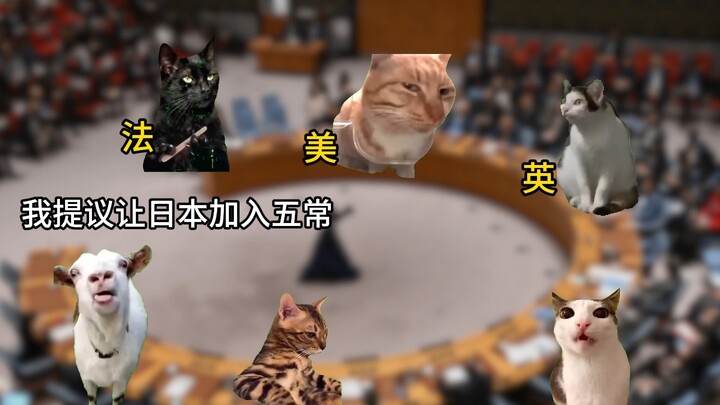当日本想要加入五常
