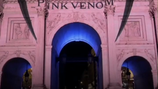 Light Up The Pink