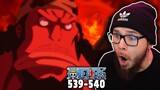 FISHER TIGER! | One Piece Ep 539-540 REACTION