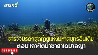 สำรวจมรดกสุดท้ายแห่งมหาสมุทรอินเดีย ตอน เกาะใต้น้ำซายาเดมาลญา สารคดีพากย์ไทย MISSION SAVING PARADISE