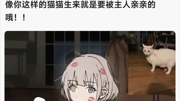 【MyGo】像你这样的猫猫生来就是要被主人亲亲的哦！！