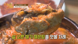 어머니가 해주신 그 맛🤤! 이숙(Lee Sook)의 추억이 담긴 '메기 매운탕' 너의 살던 고향은(yourhometown) 2회 | JTBC 220225 방송