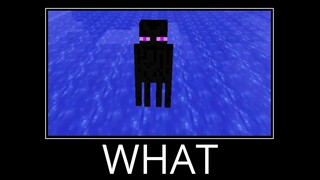 WAIT WHAT (Minecraft) #5