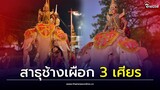 แห่สาธุ! ช้างเผือก 3 เศียร เป็นบุญตา ช็อตฟีลชาวเน็ตสุดๆ| Thainews - ไทยนิวส์