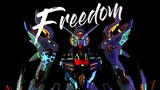 It took 2 hours to make MGEX Strike Freedom, do you want it?
