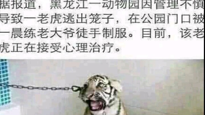 那些有毒毒笑出鹅叫的沙雕图，你大爷终究还是你大爷