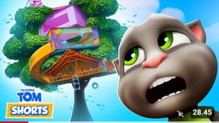 My Talking Tom rumah tinggi