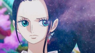 hoa anh đào trong tim Nico Robin