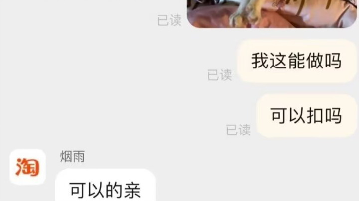 丑猫抱枕～丑就丑点吧哈哈哈！